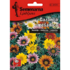 GAZANIJA – MEŠAVINA 0,5 GR - 1
