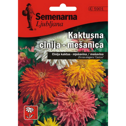 CINIJA KAKTUS MIX 5901
