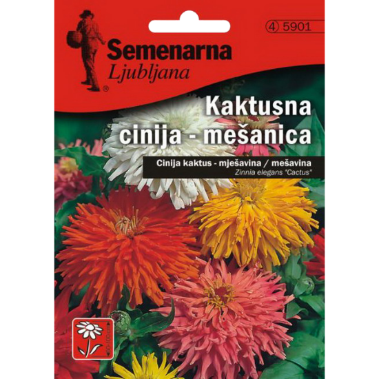CINIJA KAKTUS MIX 5901