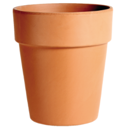SAKSIJA VELIKA 23cm