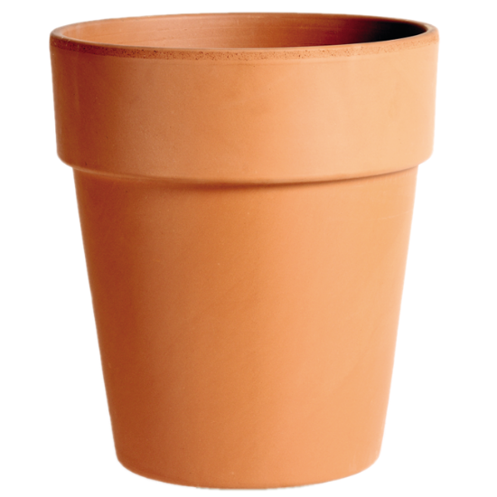 SAKSIJA VELIKA 23cm
