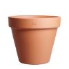 SAKSIJA STANDARDNA 21cm - 1