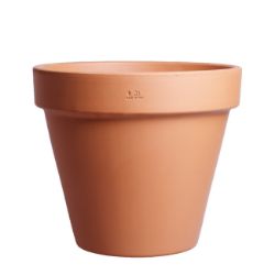 SAKSIJA STANDARDNA 21cm