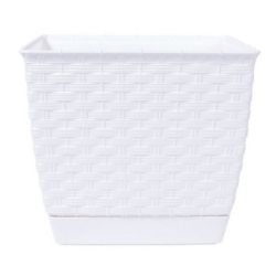 SAKSIJA RATOLLA 19CM BELA