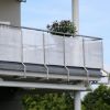 PLATNO ZA OGRADE  0.75x6m - 3