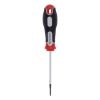 ŠRAFCIGER TORX T6X75 - 1