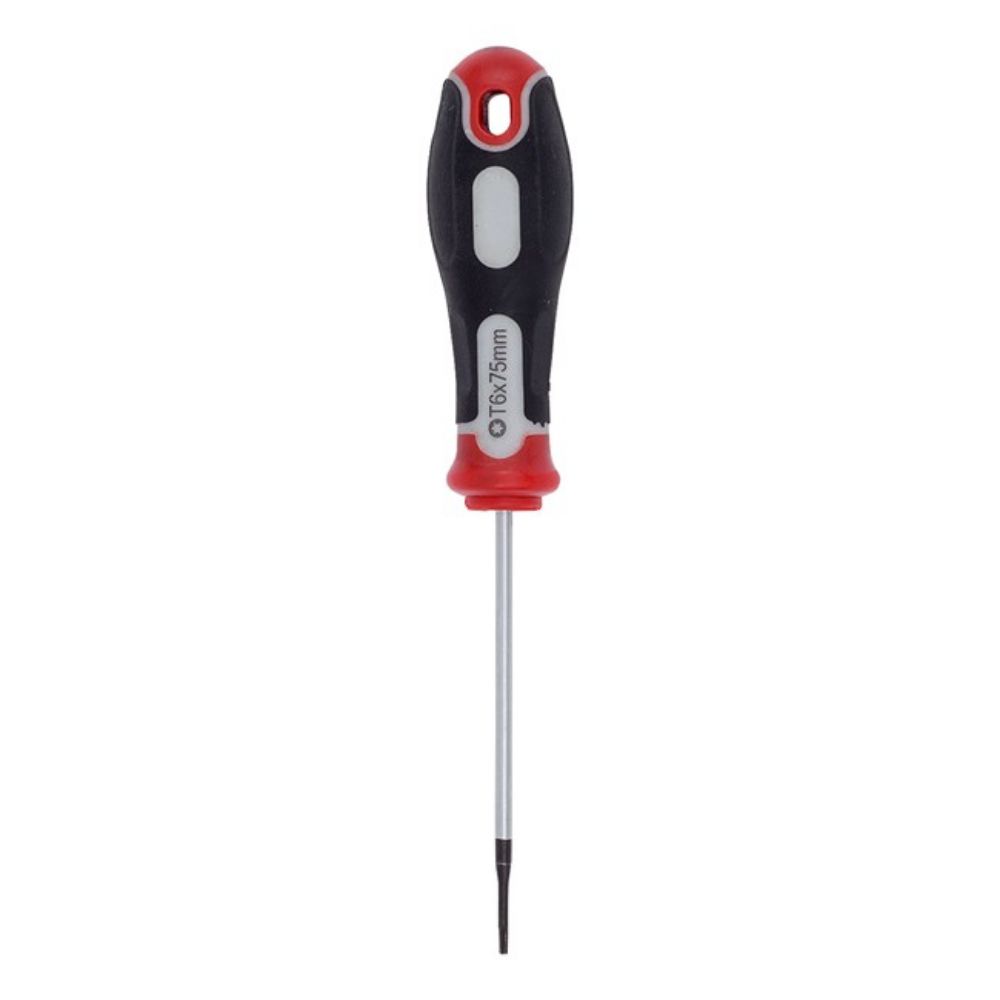 ŠRAFCIGER TORX T6X75