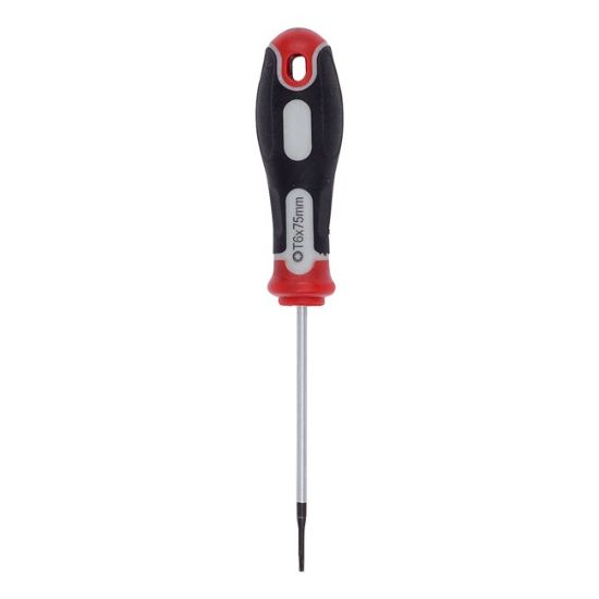 ŠRAFCIGER TORX T6X75