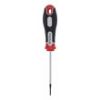 ŠRAFCIGER TORX T6X75 - 2