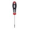ŠRAFCIGER TORX T7X75 - 2