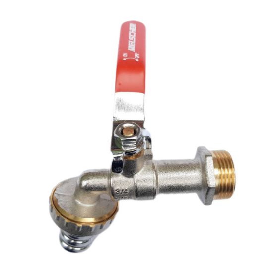 BAŠTENSKA SLAVINA GBV011/1-34  3/4" x 1"