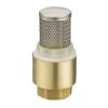 VENTIL NEPOVRATNI 1" SA INOX FILTEROM FT2001/1 - 1