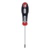 ŠRAFCIGER TORX T10X75 - 1