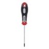 ŠRAFCIGER TORX T10X75 - 2