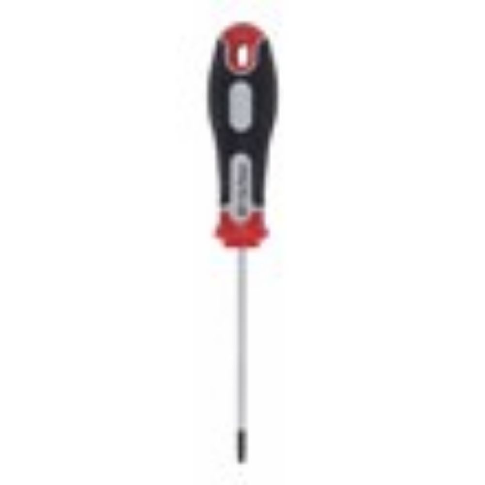 ŠRAFCIGER TORX T10X75