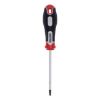 ŠRAFCIGER TORX T15X100 - 1