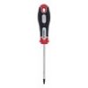 ŠRAFCIGER TORX T15X100 - 2