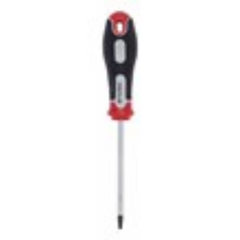 ŠRAFCIGER TORX T15X100