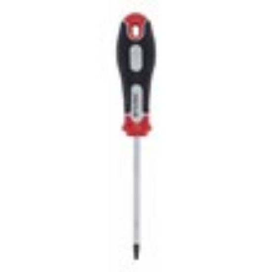 ŠRAFCIGER TORX T15X100