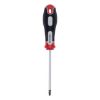 ŠRAFCIGER TORX T20X100 - 1