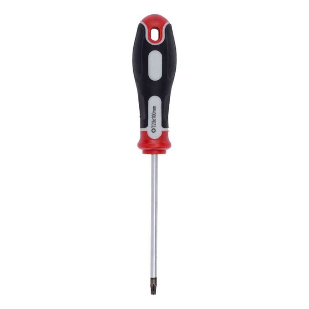 ŠRAFCIGER TORX T20X100
