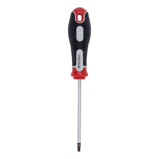 ŠRAFCIGER TORX T20X100