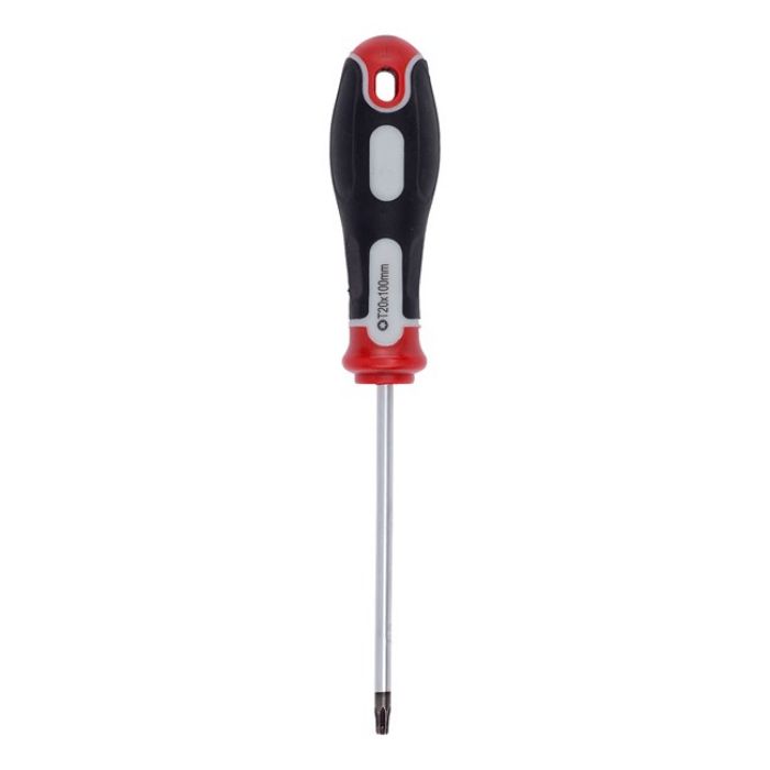 ŠRAFCIGER TORX T20X100