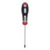 ŠRAFCIGER TORX T20X100 - 2