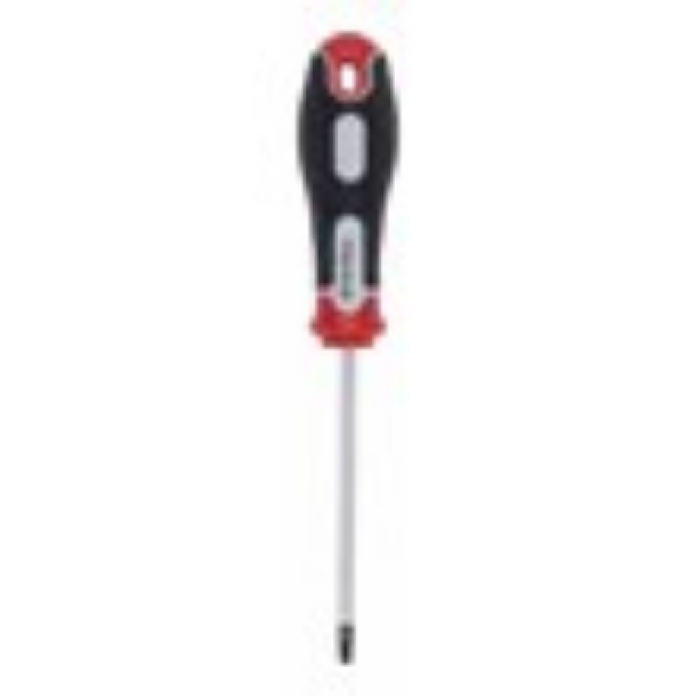ŠRAFCIGER TORX T20X100