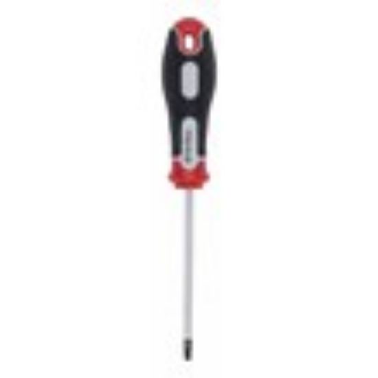 ŠRAFCIGER TORX T20X100