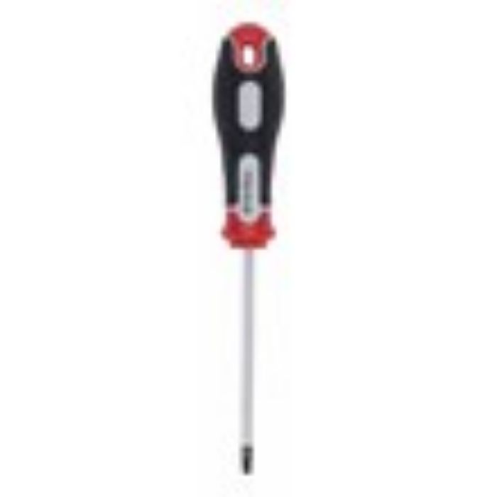 ŠRAFCIGER TORX T20X100