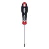 ŠRAFCIGER TORX T25X100 - 1