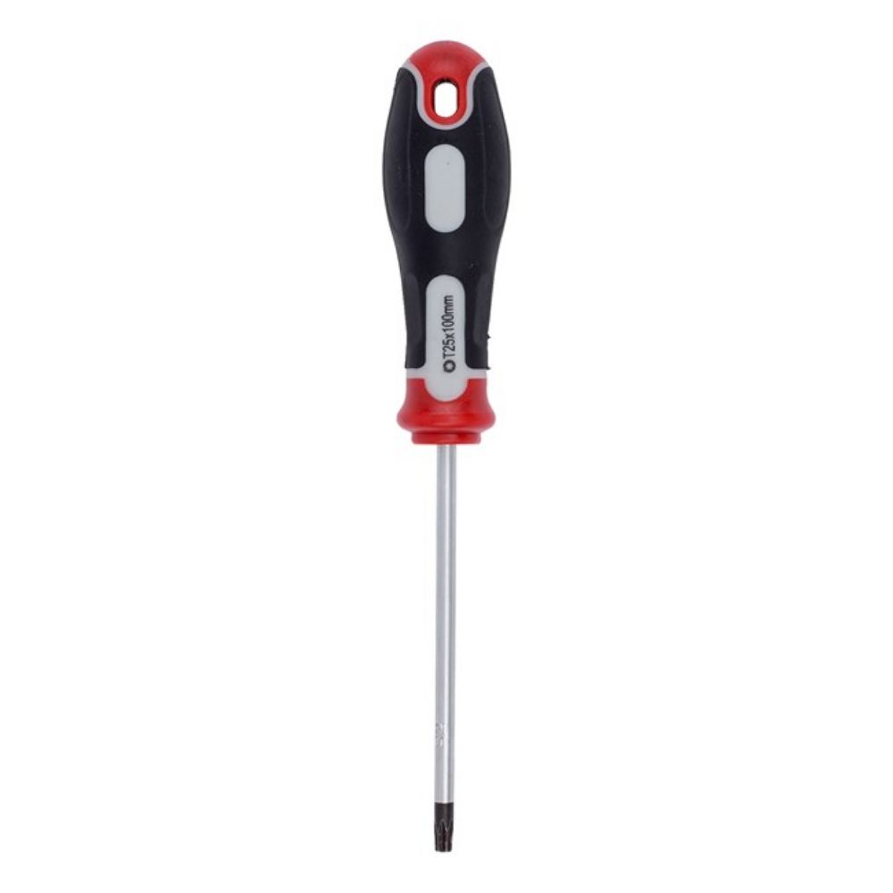 ŠRAFCIGER TORX T25X100