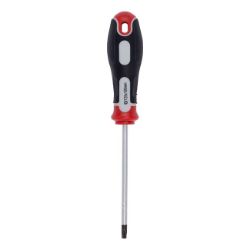 ŠRAFCIGER TORX T25X100