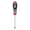ŠRAFCIGER TORX T25X100 - 2