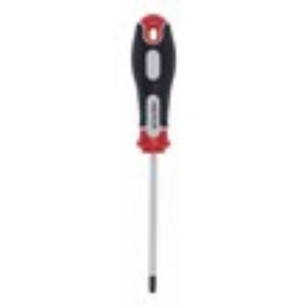 ŠRAFCIGER TORX T25X100