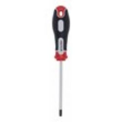 ŠRAFCIGER TORX T25X100