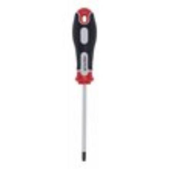 ŠRAFCIGER TORX T25X100
