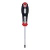 ŠRAFCIGER TORX T27X100 - 1