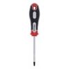 ŠRAFCIGER TORX T27X100 - 2