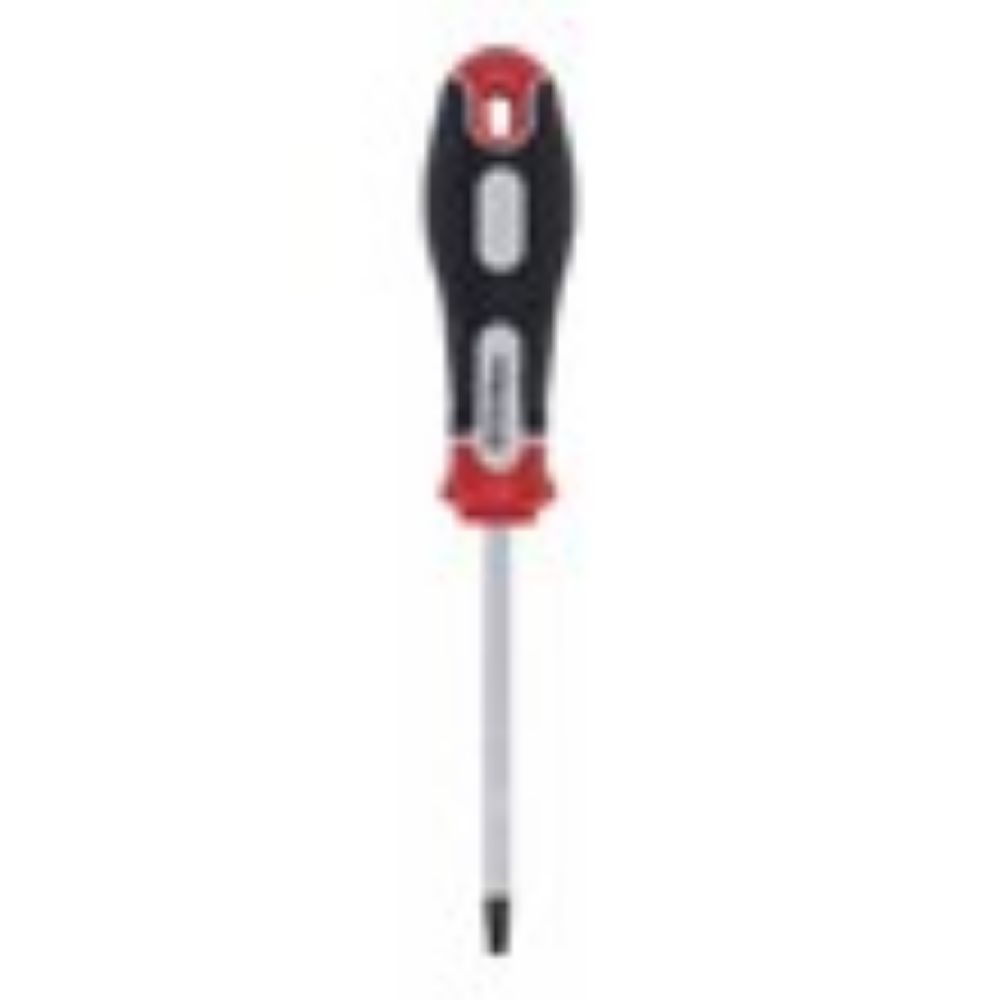 ŠRAFCIGER TORX T27X100