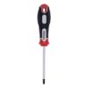 ŠRAFCIGER TORX T30X100 - 1
