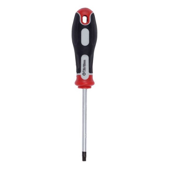 ŠRAFCIGER TORX T30X100