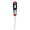 ŠRAFCIGER TORX T30X100 - 2