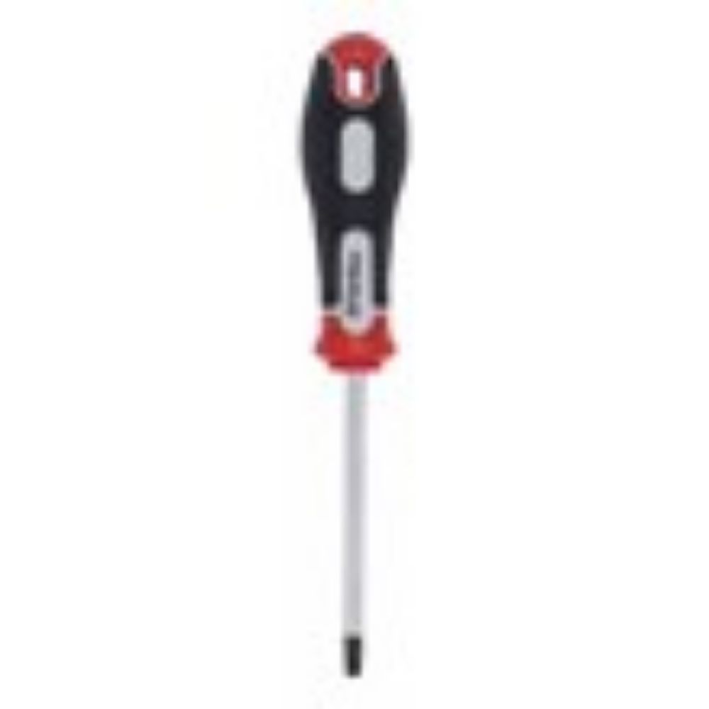 ŠRAFCIGER TORX T30X100