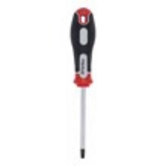 ŠRAFCIGER TORX T30X100