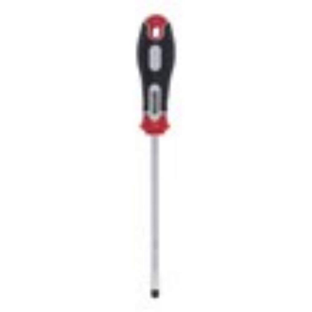 ŠRAFCIGER P SL 10x200
