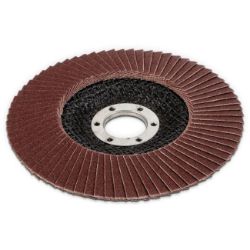 DISK ZA SMIRGLANJE LEPEZASTI Ø125 G120   Kreator alati