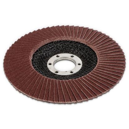 DISK ZA SMIRGLANJE LEPEZASTI Ø125 G120   Kreator alati