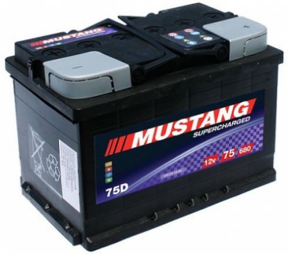 Slika AKUMULATOR MUSTANG D+ 75AH